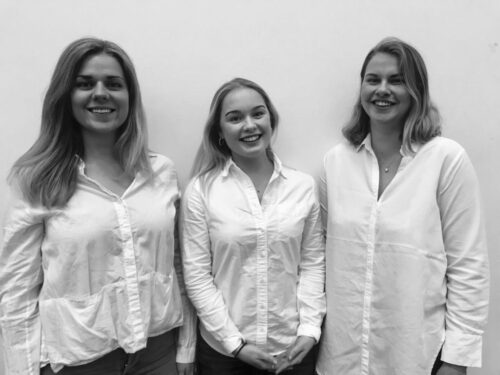 mentorskapsprogrammet Mentorskap
